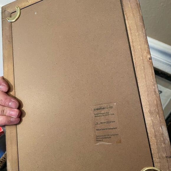 Creative Co-Op Distressed Antique Look Set of 4 Butterfly-Insect Framed Art - Picture 10 of 15